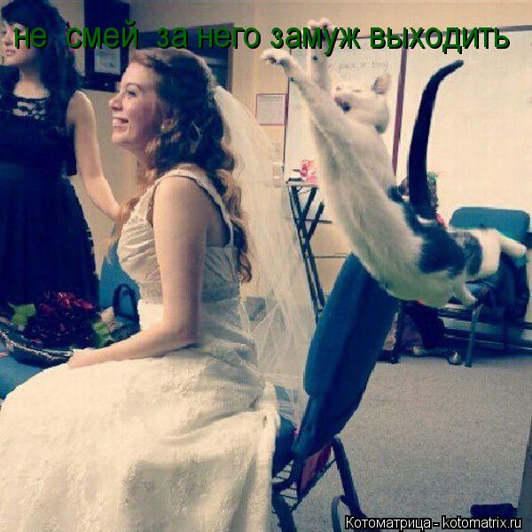 не смей за него замуж выходить... Котоматрица: не смей за него замуж выходить