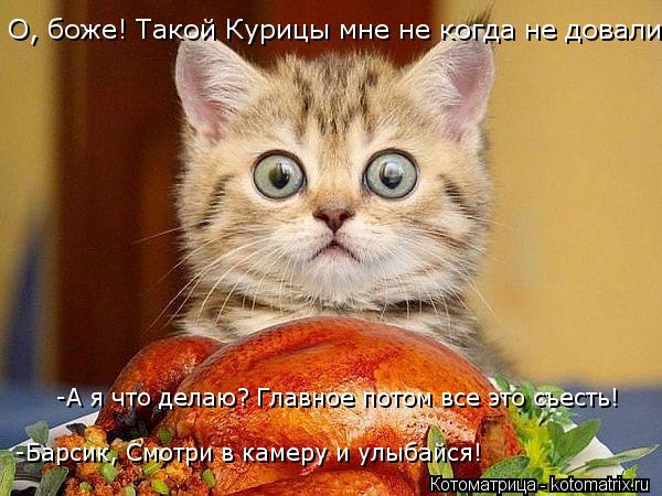 О, боже! Такой Курицы мне не когда не довали! -Барсик, Смотри в камеру и улыбайся! -А я что делаю? Гл... Котоматрица: О, боже! Такой Курицы мне не когда не довали! -Барсик, Смотри в камеру и улыбайся! -А я что делаю? Главное потом все это съесть!