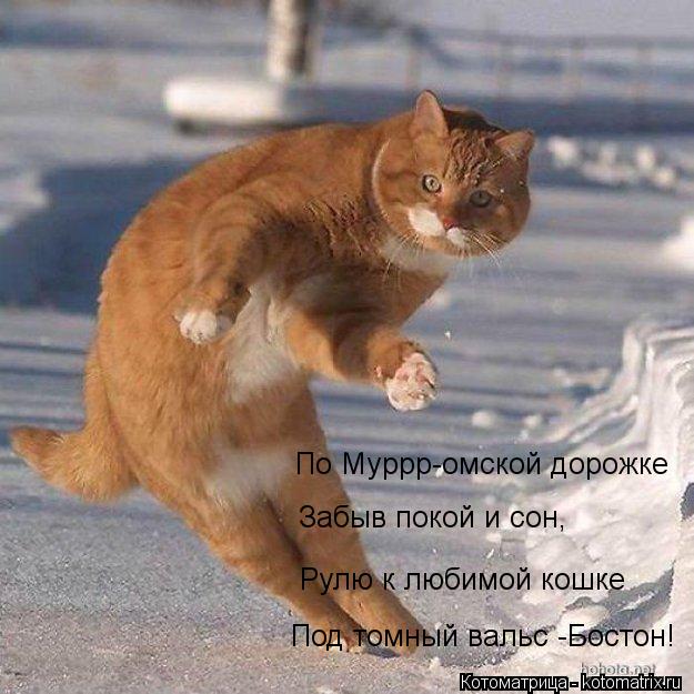 По Муррр-омской дорожке Забыв покой и сон, Рулю к любимой кошке Под томный вальс -Бостон!... Котоматрица: По Муррр-омской дорожке Забыв покой и сон, Рулю к любимой кошке Под томный вальс -Бостон!