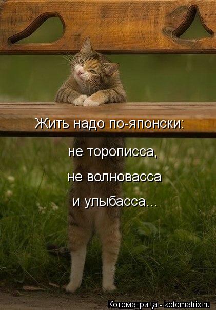 Жить надо по-японски: не торописса, не волновасса и улыбасса...... Котоматрица: Жить надо по-японски: не торописса, не волновасса и улыбасса...