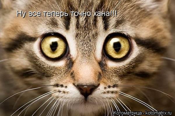 Ну все теперь точно хана!!!... Котоматрица: Ну все теперь точно хана!!!