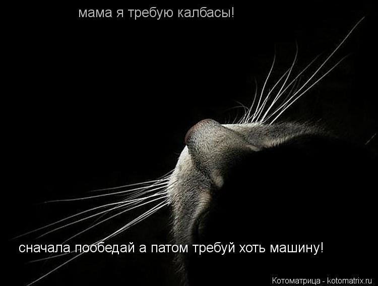 мама я требую калбасы! сначала пообедай а патом требуй хоть машину!... Котоматрица: мама я требую калбасы! сначала пообедай а патом требуй хоть машину!