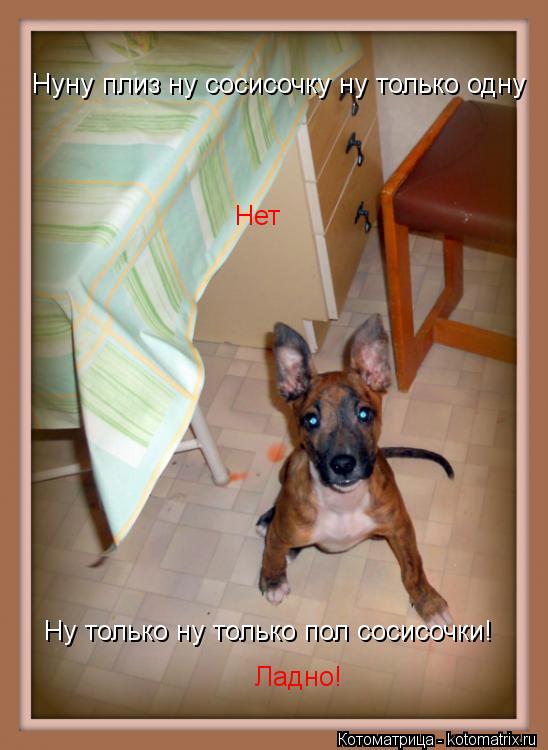 Нет Ну только ну только пол сосисочки! Ну только ну только пол сосисочки! Нуну плиз ну сосисочку ну т... Котоматрица: Нет Ну только ну только пол сосисочки! Ну только ну только пол сосисочки! Нуну плиз ну сосисочку ну только одну Ладно!