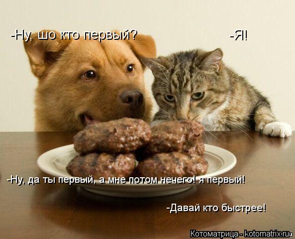 -Ну, шо кто первый? -Я! -Ну, да ты первый, а мне потом нечего! я первый! -Давай кто быстрее!... Котоматрица: -Ну, шо кто первый? -Я! -Ну, да ты первый, а мне потом нечего! я первый! -Давай кто быстрее!