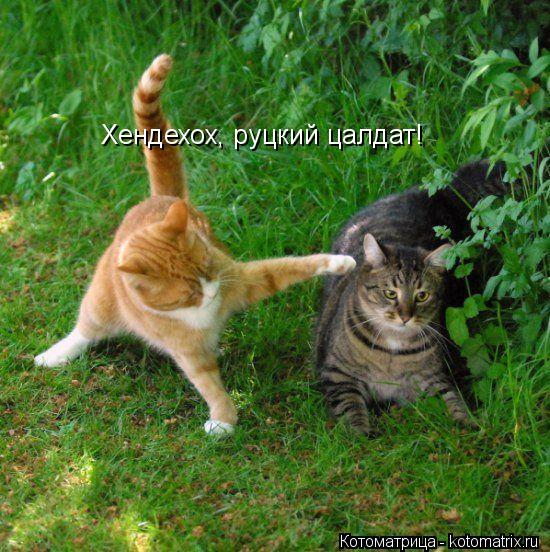 Хендехох, руцкий цалдат!... Котоматрица: Хендехох, руцкий цалдат!