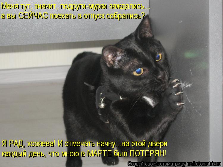 Меня тут, значит, подруги-мурки заждались... а вы СЕЙЧАС поехать в отпуск собрались? Я РАД, хозяева! ... Котоматрица: Меня тут, значит, подруги-мурки заждались... а вы СЕЙЧАС поехать в отпуск собрались? Я РАД, хозяева! И отмечать начну...на этой двери каждый ден