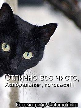 Отлично все чисто, Холодильник , готовься!!!... Котоматрица: Отлично все чисто, Холодильник , готовься!!!