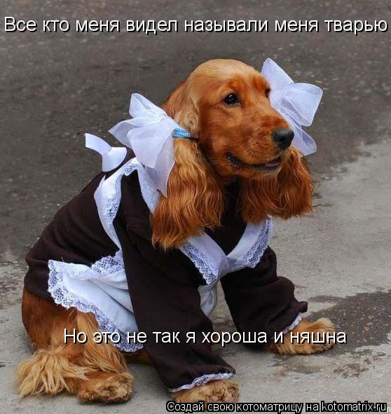 Все кто меня видел называли меня тварью Но это не так я хороша и няшна... Котоматрица: Все кто меня видел называли меня тварью Но это не так я хороша и няшна
