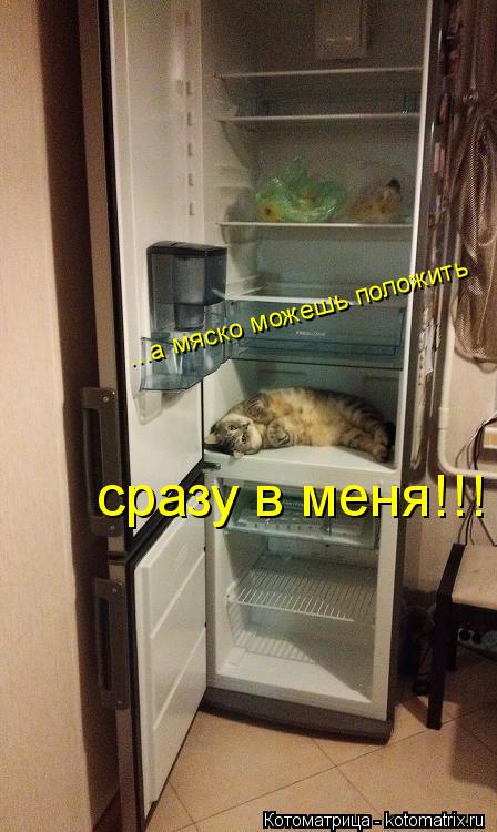 ...а мяско можешь положить сразу в меня!!!... Котоматрица: ...а мяско можешь положить сразу в меня!!!