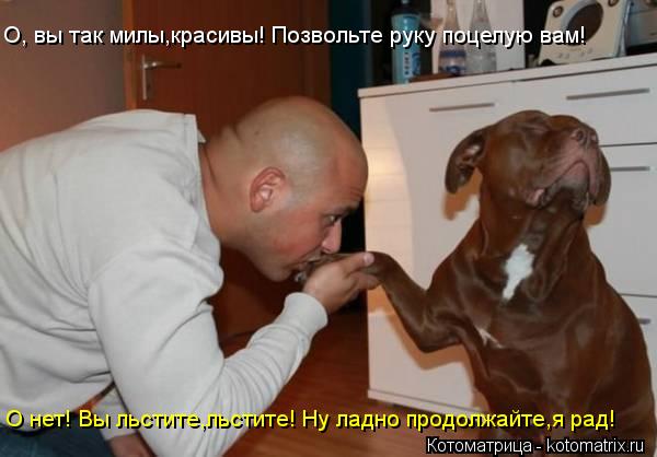 О, вы так милы,красивы! Позвольте руку поцелую вам! О нет! Вы льстите,льстите! Ну ладно продолжайте,я... Котоматрица: О, вы так милы,красивы! Позвольте руку поцелую вам! О нет! Вы льстите,льстите! Ну ладно продолжайте,я рад!