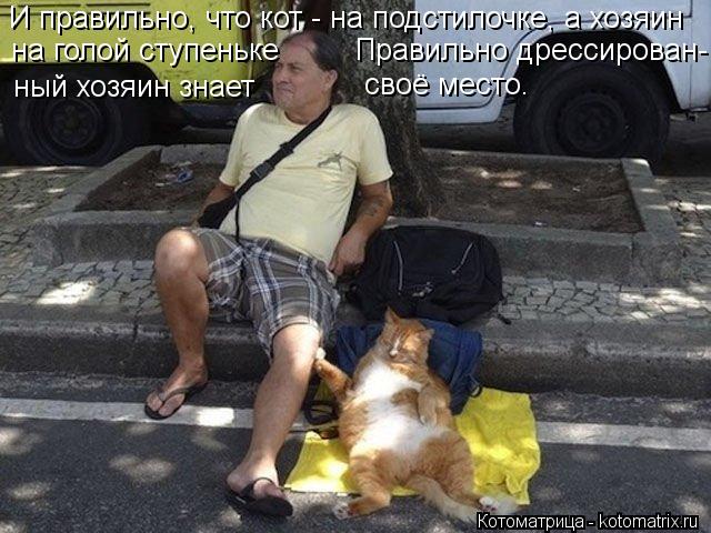 И правильно, что кот - на подстилочке, а хозяин на голой ступеньке Правильно дрессирован- ный хозяин ... Котоматрица: И правильно, что кот - на подстилочке, а хозяин на голой ступеньке Правильно дрессирован- ный хозяин знает своё место.