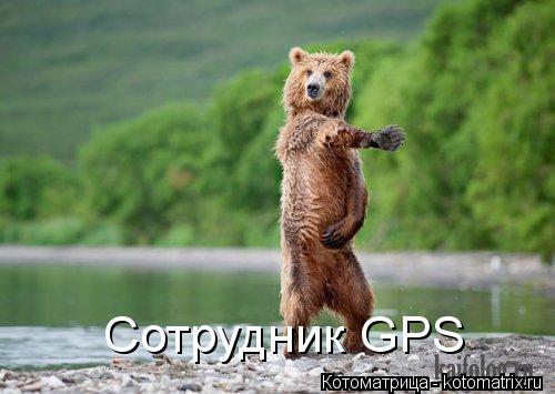 Сотрудник GPS... Котоматрица: Сотрудник GPS