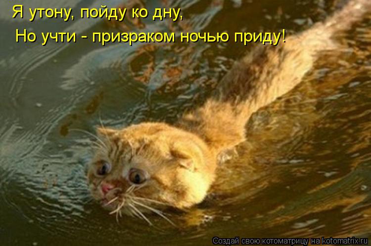 Я утону, пойду ко дну, Но учти - призраком ночью приду!... Котоматрица: Я утону, пойду ко дну, Но учти - призраком ночью приду!