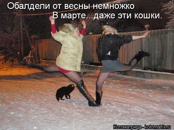 Обалдели от весны немножко В марте...даже эти кошки.... Котоматрица: Обалдели от весны немножко В марте...даже эти кошки.