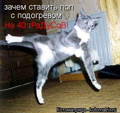зачем ставить пол с подогревом На 40 гРаДуСоВ!... Котоматрица: зачем ставить пол с подогревом На 40 гРаДуСоВ!