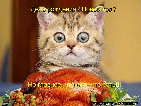 Котоматрица: День рождения? Новый год? Но главное, что есть что есть!!!