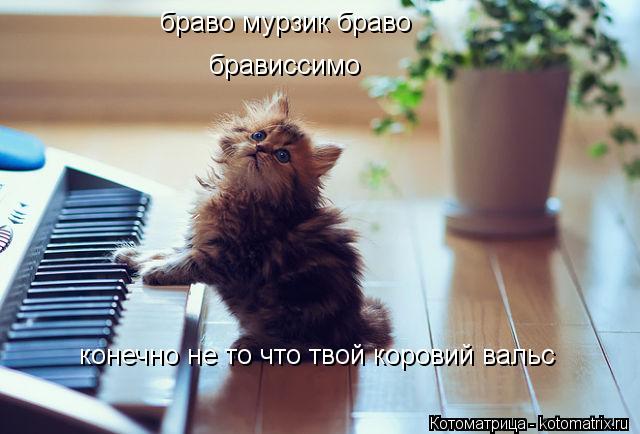 браво мурзик браво брависсимо конечно не то что твой коровий вальс... Котоматрица: браво мурзик браво брависсимо конечно не то что твой коровий вальс