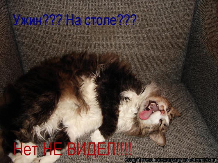 Ужин??? На столе??? Нет НЕ ВИДЕЛ!!!!... Котоматрица: Ужин??? На столе??? Нет НЕ ВИДЕЛ!!!!