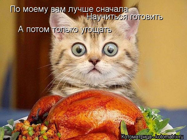 По моему вам лучше сначала Научиться готовить А потом только угощать... Котоматрица: По моему вам лучше сначала Научиться готовить А потом только угощать