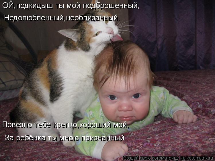 ОЙ,подкидыш ты мой подброшенный, Недолюбленный,необлизанный. Повезло тебе крепко,хороший мой, За ребё... Котоматрица: ОЙ,подкидыш ты мой подброшенный, Недолюбленный,необлизанный. Повезло тебе крепко,хороший мой, За ребёнка ты мною признанный.
