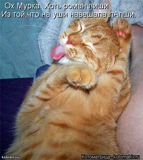 Ох Мурка..Хоть роман пиши Из той,что на уши навешала лАпши.... Котоматрица: Ох Мурка..Хоть роман пиши Из той,что на уши навешала лАпши.