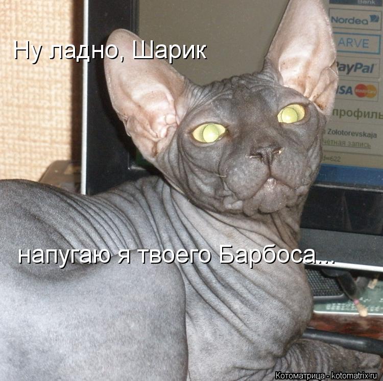 Ну ладно, Шарик напугаю я твоего Барбоса...... Котоматрица: Ну ладно, Шарик напугаю я твоего Барбоса...