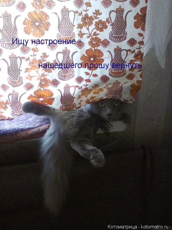 Ищу настроение - нашедшего прошу вернуть... Котоматрица: Ищу настроение - нашедшего прошу вернуть