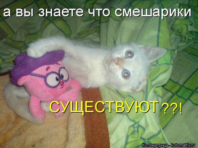 а вы знаете что смешарики СУЩЕСТВУЮТ ??!... Котоматрица: а вы знаете что смешарики СУЩЕСТВУЮТ ??!