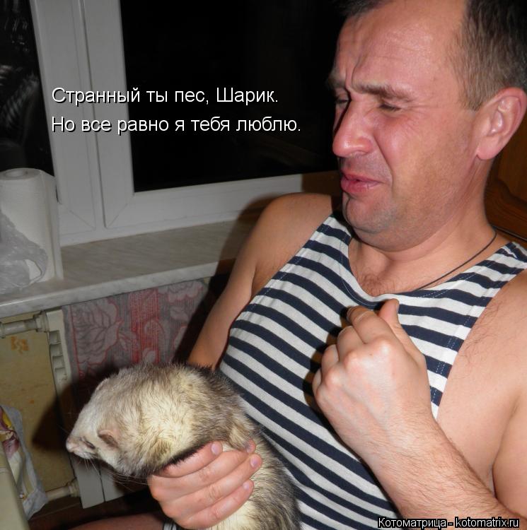 Странный ты пес, Шарик. Но все равно я тебя люблю.... Котоматрица: Странный ты пес, Шарик. Но все равно я тебя люблю.