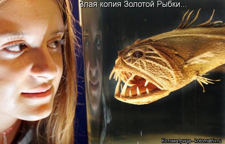 Злая копия Золотой Рыбки...... Котоматрица: Злая копия Золотой Рыбки...