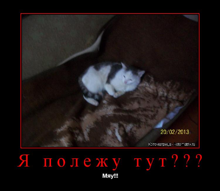 Я полежу тут??? Мяу!!!... Котоматрица: Я полежу тут??? Мяу!!!
