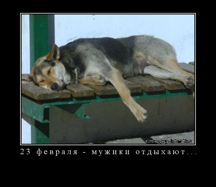 23 февраля - мужики отдыхают... ... Котоматрица: 23 февраля - мужики отдыхают...