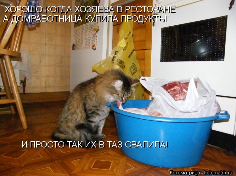 ХОРОШО КОГДА ХОЗЯЕВА В РЕСТОРАНЕ А ДОМРАБОТНИЦА КУПИЛА ПРОДУКТЫ И ПРОСТО ТАК ИХ В ТАЗ СВАЛИЛА!... Котоматрица: ХОРОШО КОГДА ХОЗЯЕВА В РЕСТОРАНЕ А ДОМРАБОТНИЦА КУПИЛА ПРОДУКТЫ И ПРОСТО ТАК ИХ В ТАЗ СВАЛИЛА!