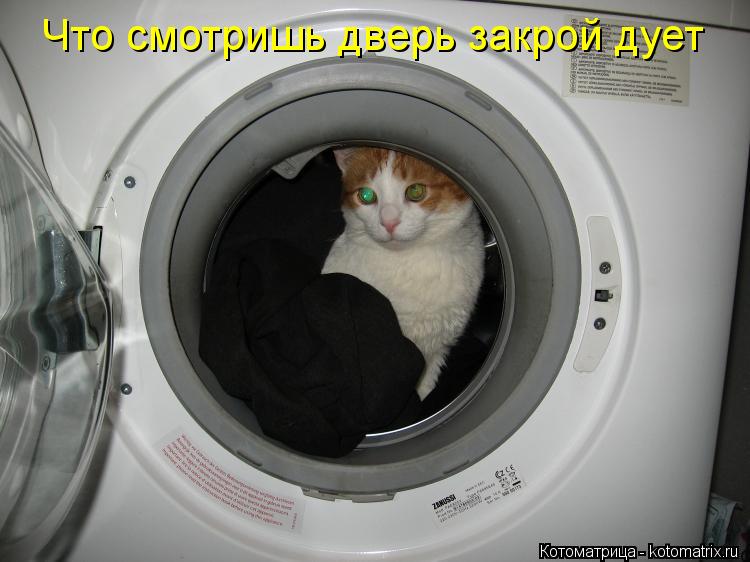 Что смотришь дверь закрой дует... Котоматрица: Что смотришь дверь закрой дует