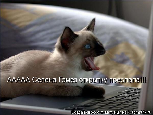 ААААА Селена Гомез открытку преслала!!!... Котоматрица: ААААА Селена Гомез открытку преслала!!!