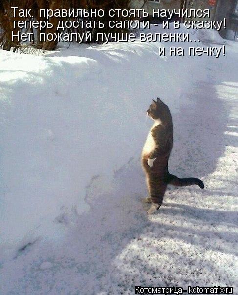 Так, правильно стоять научился теперь достать сапоги - и в сказку! Нет, пожалуй лучше валенки... и на... Котоматрица: Так, правильно стоять научился теперь достать сапоги - и в сказку! Нет, пожалуй лучше валенки... и на печку!