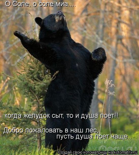 О Соле, о соле миа.... когда желудок сыт, то и душа поет!! Добро пожаловать в наш лес, пусть душа пое... Котоматрица: О Соле, о соле миа.... когда желудок сыт, то и душа поет!! Добро пожаловать в наш лес, пусть душа поет чаще..