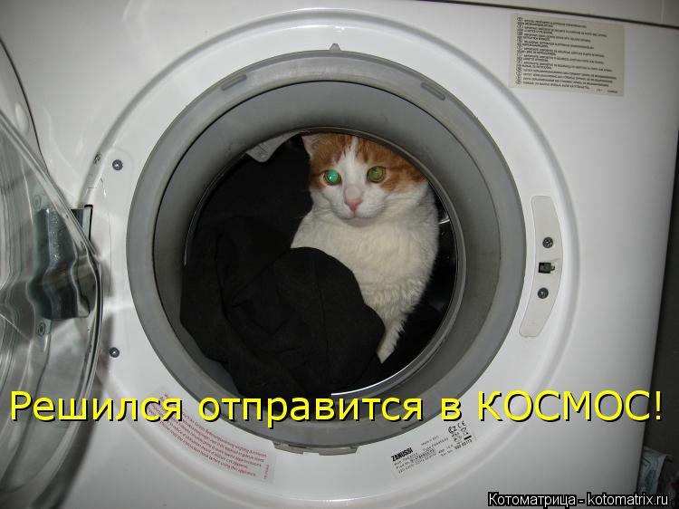 Котоматрица: Решился отправится в КОСМОС!