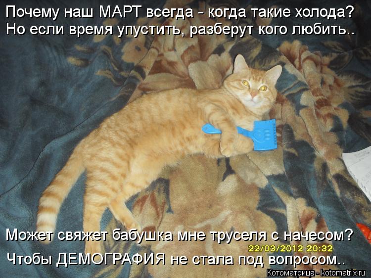 Котоматрица: Может свяжет бабушка мне труселя с начесом? Чтобы ДЕМОГРАФИЯ не стала под вопросом.. Почему наш МАРТ всегда - когда такие холода? Но если вре