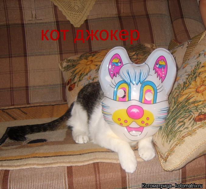 кот джокер... Котоматрица: кот джокер