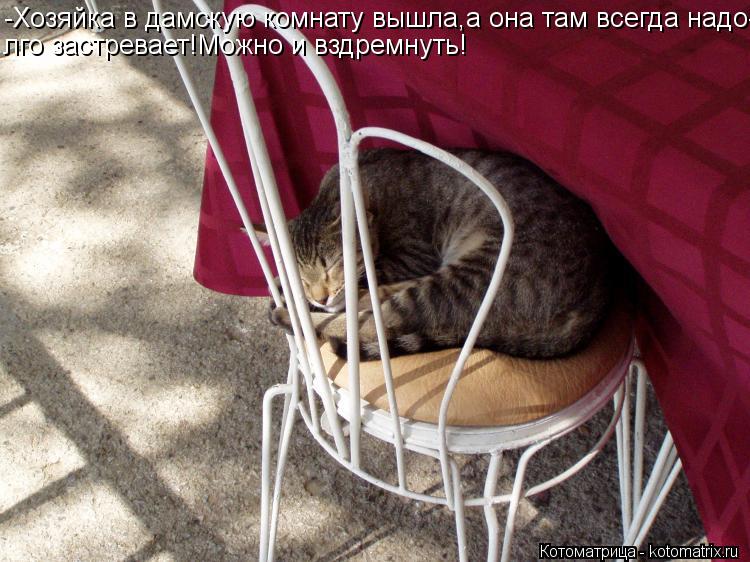 -Хозяйка в дамскую комнату вышла,а она там всегда надо- лго застревает!Можно и вздремнуть!... Котоматрица: -Хозяйка в дамскую комнату вышла,а она там всегда надо- лго застревает!Можно и вздремнуть!