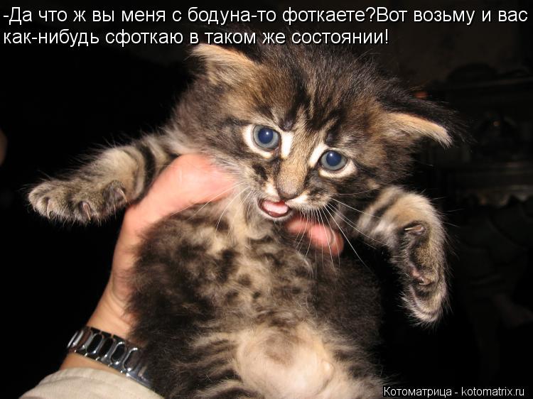 -Да что ж вы меня с бодуна-то фоткаете?Вот возьму и вас как-нибудь сфоткаю в таком же состоянии!... Котоматрица: -Да что ж вы меня с бодуна-то фоткаете?Вот возьму и вас как-нибудь сфоткаю в таком же состоянии!