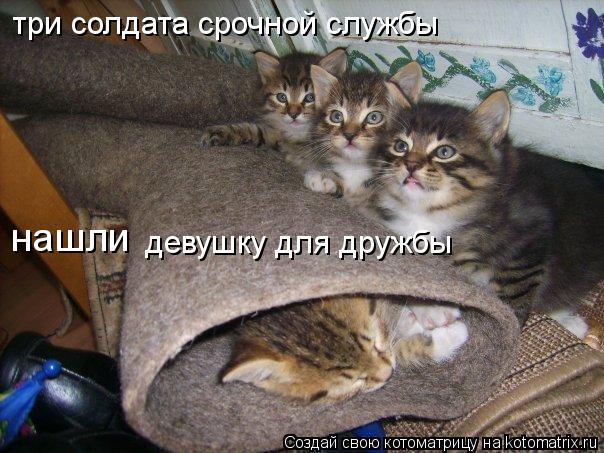 три солдата срочной службы нашли девушку для дружбы... Котоматрица: три солдата срочной службы нашли девушку для дружбы