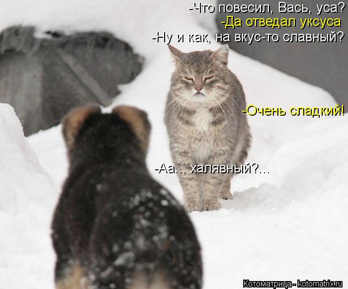 -Что повесил, Вась, уса? -Да отведал уксуса -Ну и как, на вкус-то славный? -Очень сладкий! -Аа.., хал... Котоматрица: -Что повесил, Вась, уса? -Да отведал уксуса -Ну и как, на вкус-то славный? -Очень сладкий! -Аа.., халявный?...