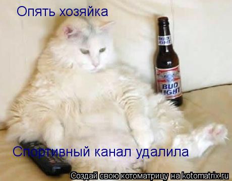 Котоматрица: Опять хозяйка Спортивный канал удалила
