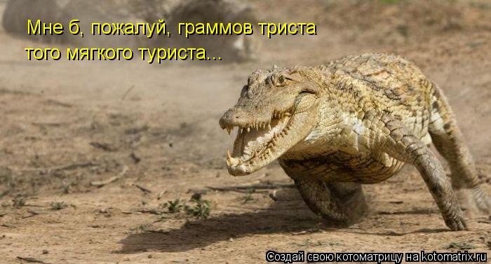 Мне б, пожалуй, граммов триста того мягкого туриста...... Котоматрица: Мне б, пожалуй, граммов триста того мягкого туриста...