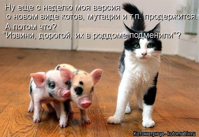 Ну еще с неделю моя версия о новом виде котов, мутации и т.п. продержится. А потом что? "Извини, дор... Котоматрица: Ну еще с неделю моя версия о новом виде котов, мутации и т.п. продержится. А потом что? "Извини, дорогой, их в роддоме подменили"?