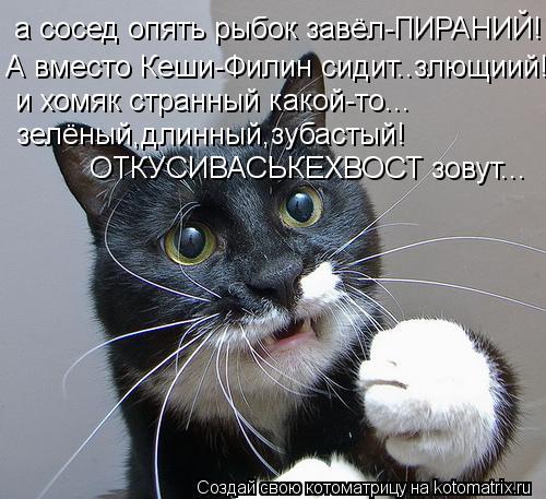 Котоматрица: а сосед опять рыбок завёл-ПИРАНИЙ! А вместо Кеши-Филин сидит..злющиий! и хомяк странный какой-то... зелёный,длинный,зубастый! ОТКУСИВАСЬКЕХВО