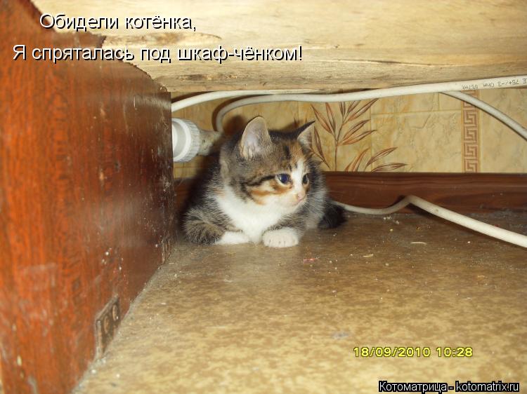 Обидели котёнка, Я спряталась под шкаф-чёнком!... Котоматрица: Обидели котёнка, Я спряталась под шкаф-чёнком!