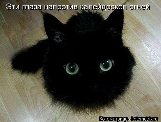Котоматрица: Эти глаза напротив калейдоскоп огней
